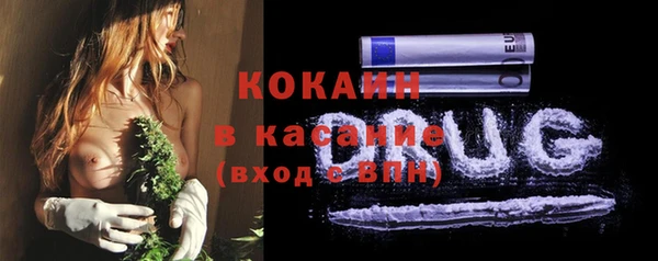 ешки Алексин