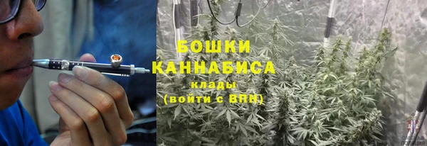 мдпв Новозыбков