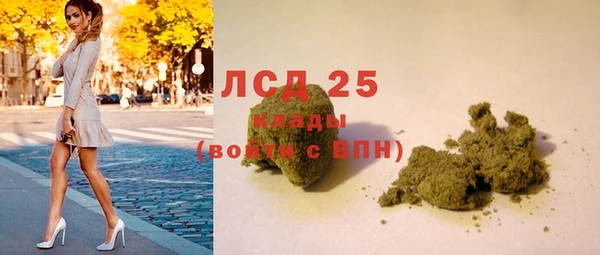 сатива Алзамай