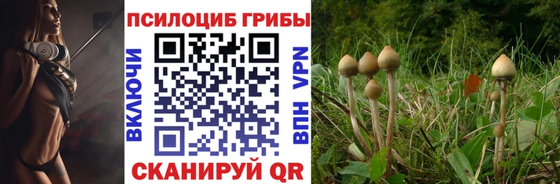 даркнет сайт  Ангарск  Галлюциногенные грибы ЛСД 